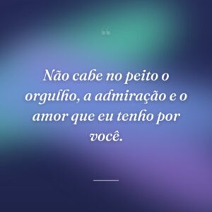 Não cabe no peito o orgulho, a admiração e o amor que eu tenho por você.