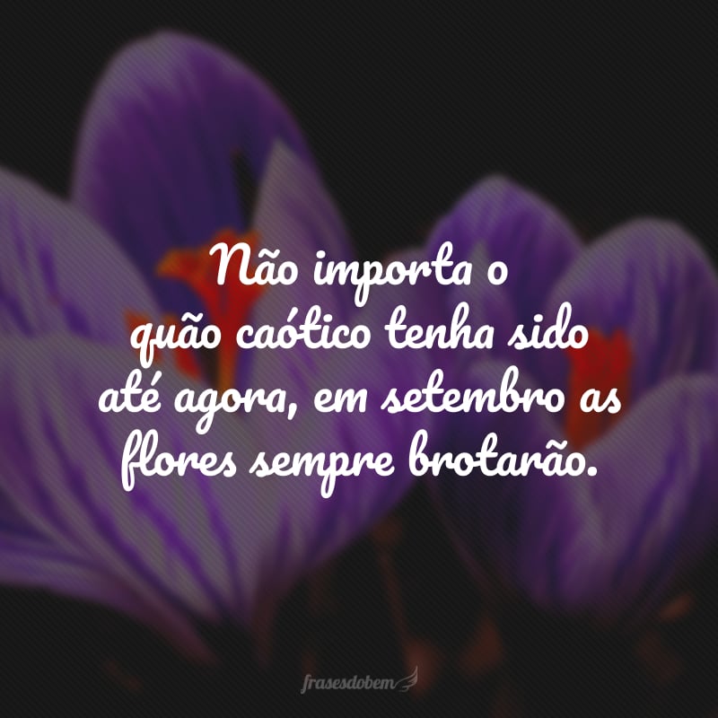 Não importa o quão caótico tenha sido até agora, em setembro as flores sempre brotarão.