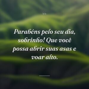 Parabéns pelo seu dia, sobrinho! Que você possa abrir suas asas e voar alto.