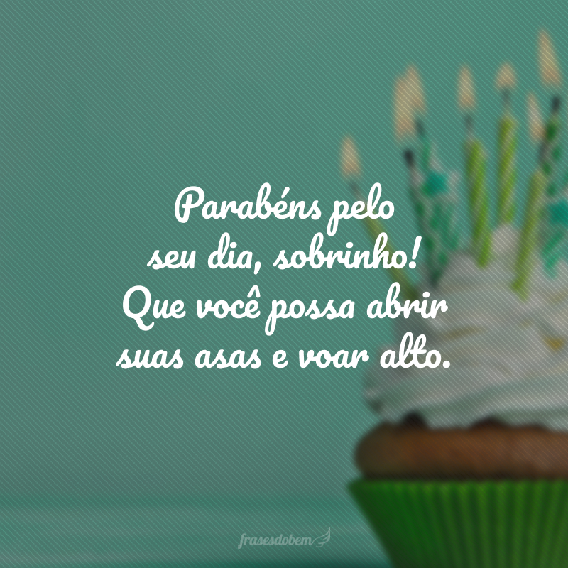 Parabéns pelo seu dia, sobrinho! Que você possa abrir suas asas e voar alto.