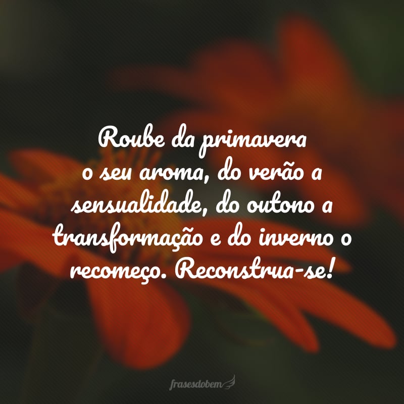 Roube da primavera o seu aroma, do verão a sensualidade, do outono a transformação e do inverno o recomeço. Reconstrua-se!