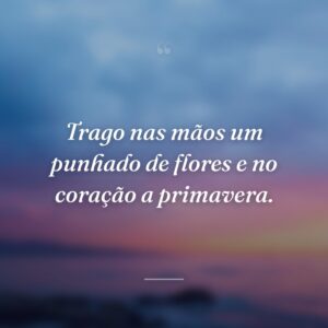Trago nas mãos um punhado de flores e no coração a primavera.