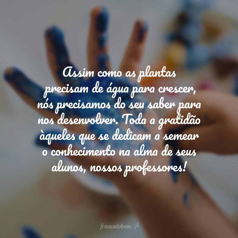 Assim como as plantas precisam de água para crescer, nós precisamos do seu saber para nos desenvolver. Toda a gratidão àqueles que se dedicam a semear o conhecimento na alma de seus alunos, nossos professores!