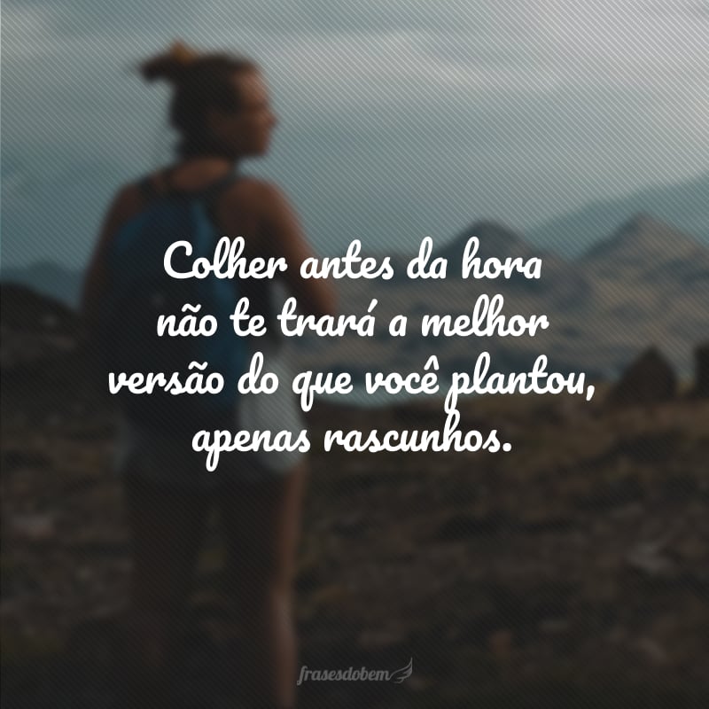 Colher antes da hora não te trará a melhor versão do que você plantou, apenas rascunhos.