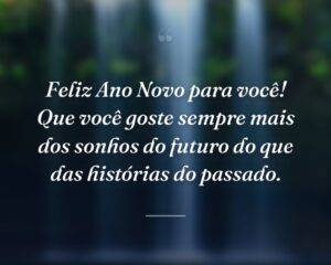 Feliz Ano Novo para você! Que você goste sempre mais dos sonhos do futuro do que das histórias do passado.