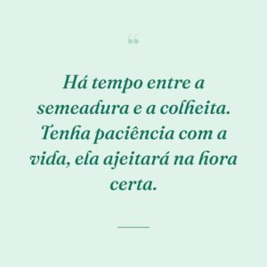 Há tempo entre a semeadura e a colheita. Tenha paciência com a vida, ela ajeitará na hora certa.