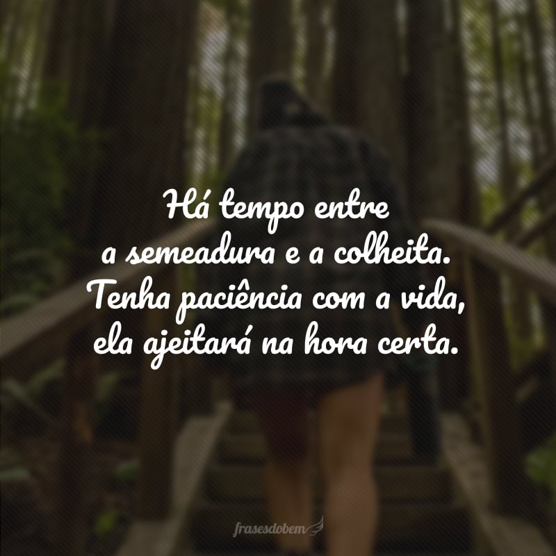 Há tempo entre a semeadura e a colheita. Tenha paciência com a vida, ela ajeitará na hora certa.
