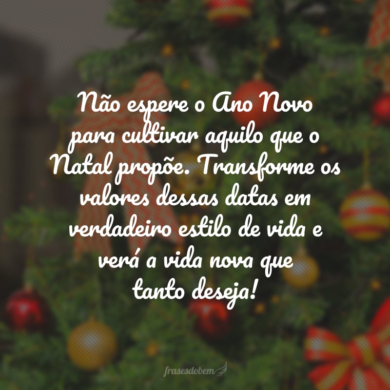 Não espere o Ano Novo para cultivar aquilo que o Natal propõe. Transforme os valores dessas datas em verdadeiro estilo de vida e verá a vida nova que tanto deseja!