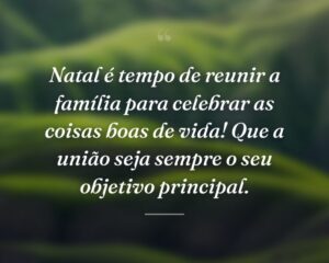 Natal é tempo de reunir a família para celebrar as coisas boas de vida! Que a união seja sempre o seu objetivo principal.