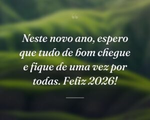 Neste novo ano, espero que tudo de bom chegue e fique de uma vez por todas. Feliz 2026!