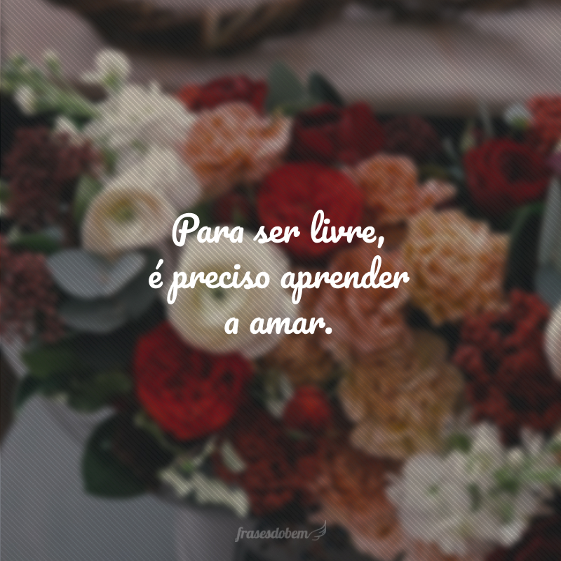 Para ser livre, é preciso aprender a amar.