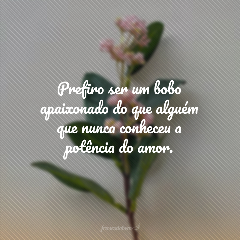 Prefiro ser um bobo apaixonado do que alguém que nunca conheceu a potência do amor.