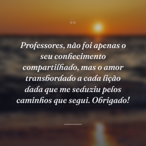 Professores, não foi apenas o seu conhecimento compartilhado, mas o amor transbordado a cada lição dada que me seduziu pelos caminhos que segui. Obrigado!