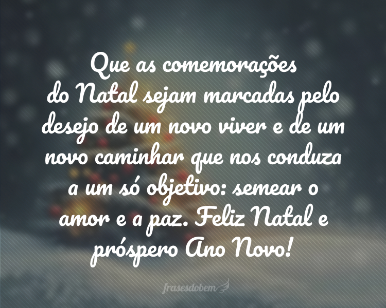 Que as comemorações do Natal sejam marcadas pelo desejo de um novo viver e de um novo caminhar que nos conduza a um só objetivo: semear o amor e a paz. Feliz Natal e próspero Ano Novo!