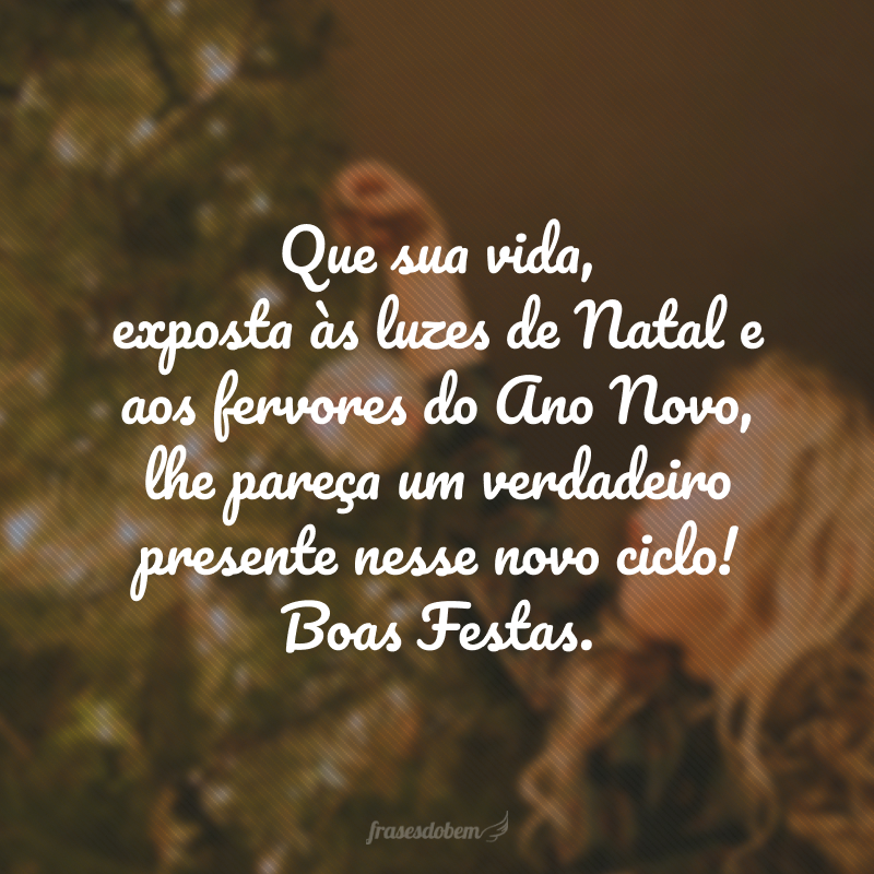 Que sua vida, exposta às luzes de Natal e aos fervores do Ano Novo, lhe pareça um verdadeiro presente nesse novo ciclo! Boas Festas.