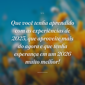 Que você tenha aprendido com as experiências de 2025, que aproveite mais do agora e que tenha esperança em um 2026 muito melhor!