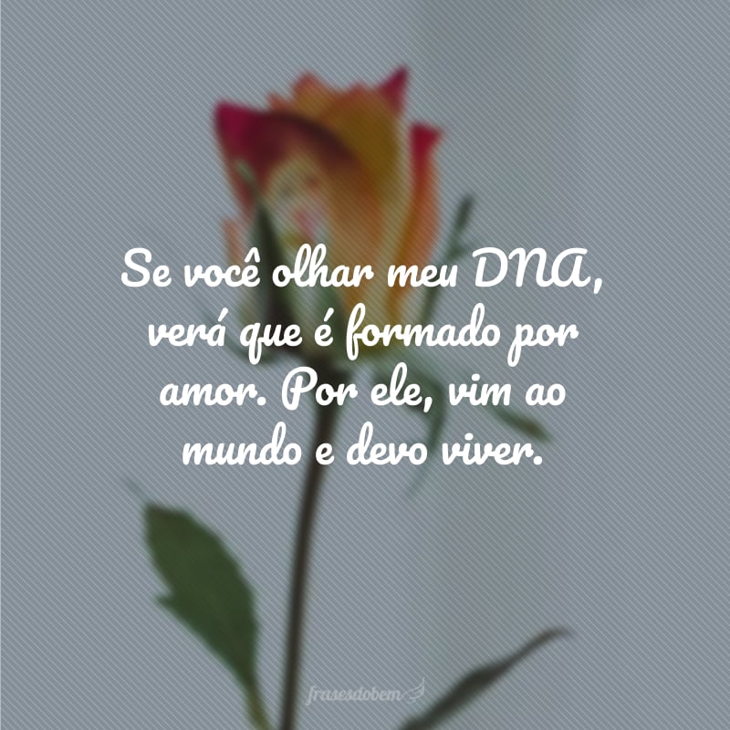 Se você olhar meu DNA, verá que é formado por amor. Por ele, vim ao mundo e devo viver.