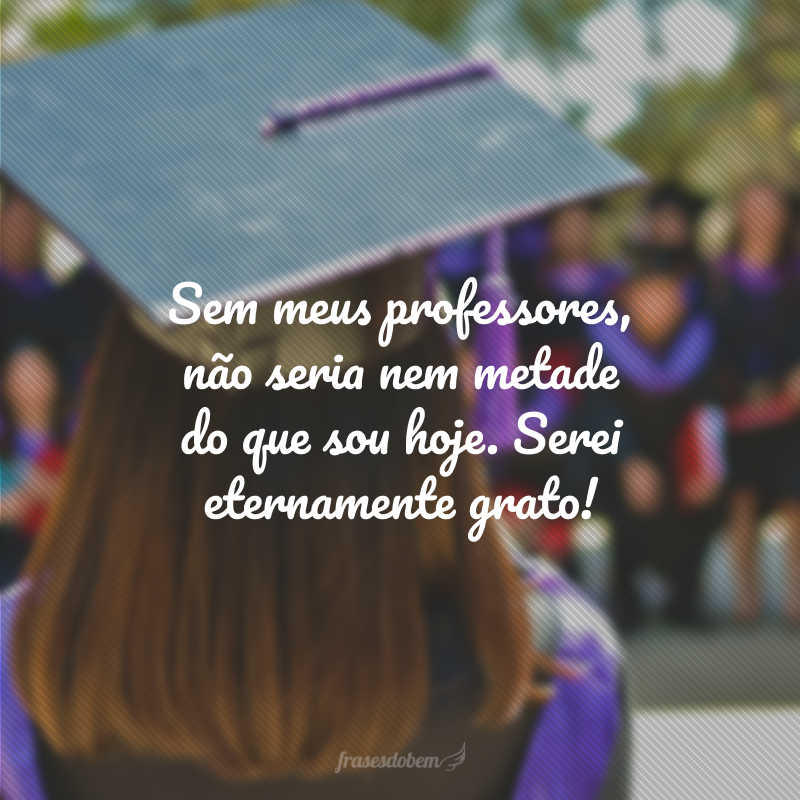 Sem meus professores, não seria nem metade do que sou hoje. Serei eternamente grato!