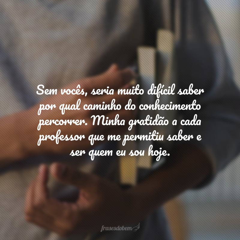 Sem vocês, seria muito difícil saber por qual caminho do conhecimento percorrer. Minha gratidão a cada professor que me permitiu saber e ser quem eu sou hoje.