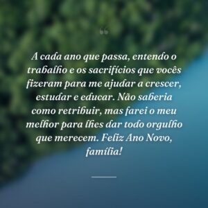 A cada ano que passa, entendo o trabalho e os sacrifícios que vocês fizeram para me ajudar a crescer, estudar e educar. Não saberia como retribuir, mas farei o meu melhor para lhes dar todo orgulho que merecem. Feliz Ano Novo, família!