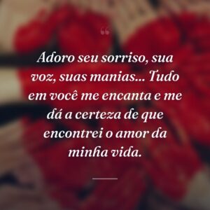 Adoro seu sorriso, sua voz, suas manias... Tudo em você me encanta e me dá a certeza de que encontrei o amor da minha vida.