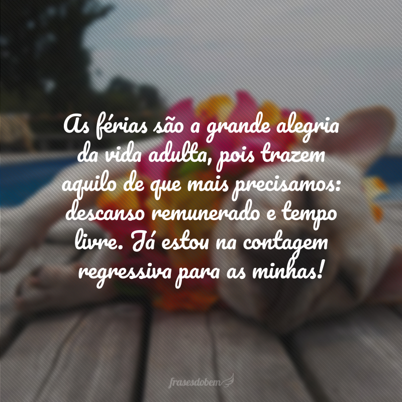 As férias são a grande alegria da vida adulta, pois trazem aquilo de que mais precisamos: descanso remunerado e tempo livre. Já estou na contagem regressiva para as minhas!
