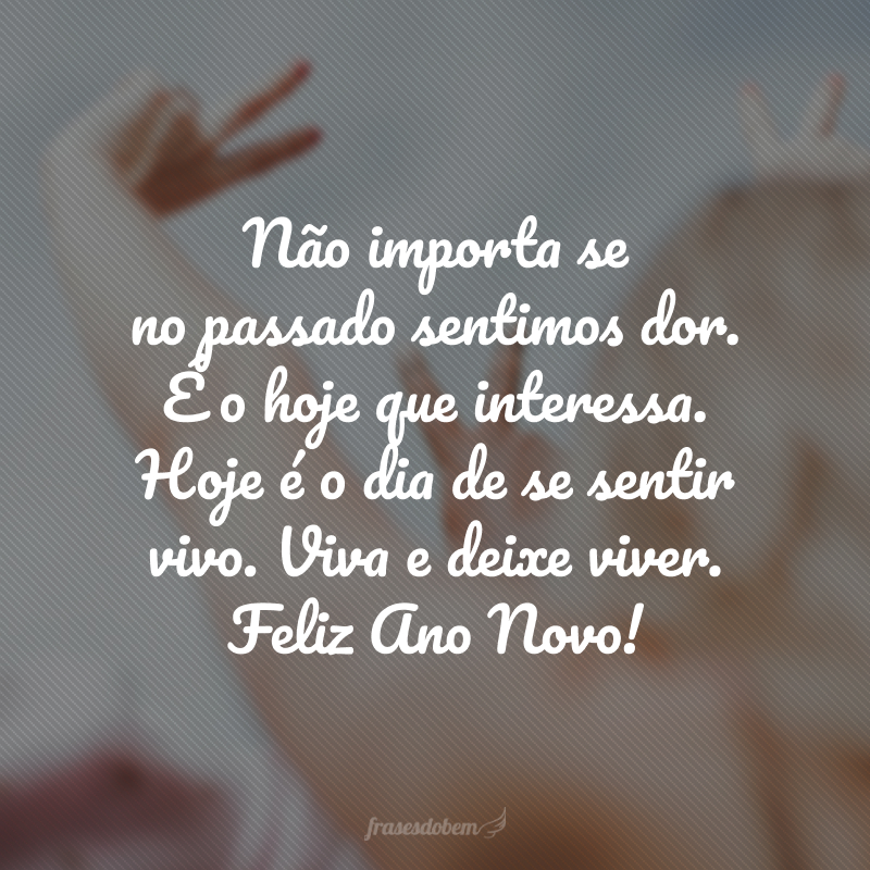 Não importa se no passado sentimos dor. É o hoje que interessa. Hoje é o dia de se sentir vivo. Viva e deixe viver. Feliz Ano Novo!