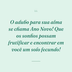 O adubo para sua alma se chama Ano Novo! Que os sonhos possam frutificar e encontrar em você um solo fecundo!
