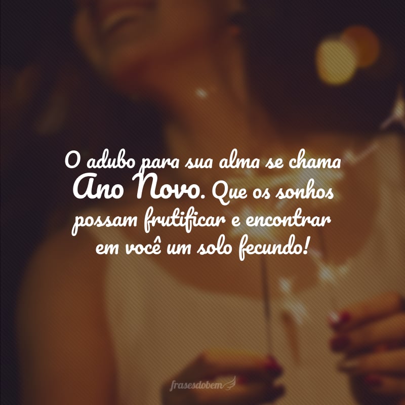 O adubo para sua alma se chama Ano Novo! Que os sonhos possam frutificar e encontrar em você um solo fecundo!