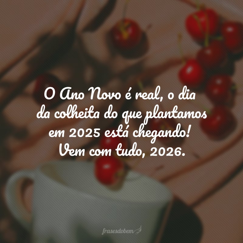 O Ano Novo é real, o dia da colheita do que plantamos em 2025 está chegando! Vem com tudo, 2026.