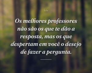 Os melhores professores não são os que te dão a resposta, mas os que despertam em você o desejo de fazer a pergunta.