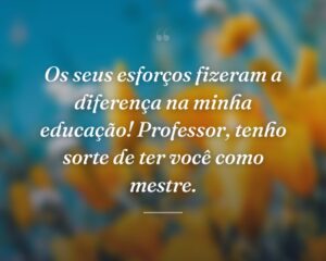 Os seus esforços fizeram a diferença na minha educação! Professor, tenho sorte de ter você como mestre.