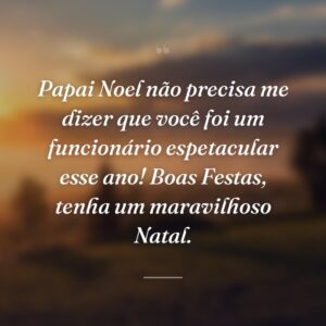 Papai Noel não precisa me dizer que você foi um funcionário espetacular esse ano! Boas Festas, tenha um maravilhoso Natal.