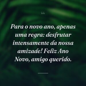Para o novo ano, apenas uma regra: desfrutar intensamente da nossa amizade! Feliz Ano Novo, amigo querido.