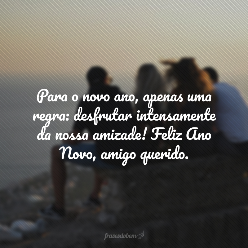 Para o novo ano, apenas uma regra: desfrutar intensamente da nossa amizade! Feliz Ano Novo, amigo querido.