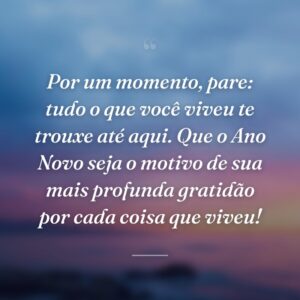 Por um momento, pare: tudo o que você viveu te trouxe até aqui. Que o Ano Novo seja o motivo de sua mais profunda gratidão por cada coisa que viveu!