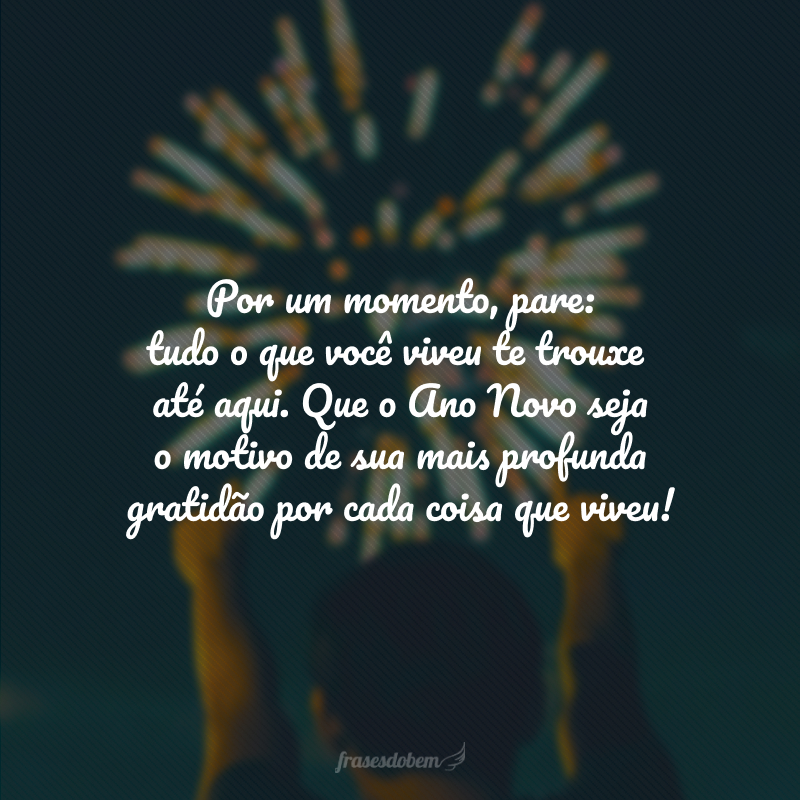 Por um momento, pare: tudo o que você viveu te trouxe até aqui. Que o Ano Novo seja o motivo de sua mais profunda gratidão por cada coisa que viveu!