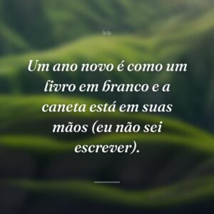 Um ano novo é como um livro em branco e a caneta está em suas mãos (eu não sei escrever).