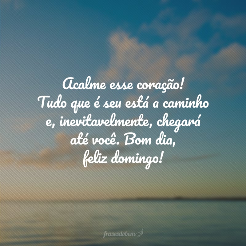 Acalme esse coração! Tudo que é seu está a caminho e, inevitavelmente, chegará até você. Bom dia, feliz domingo!