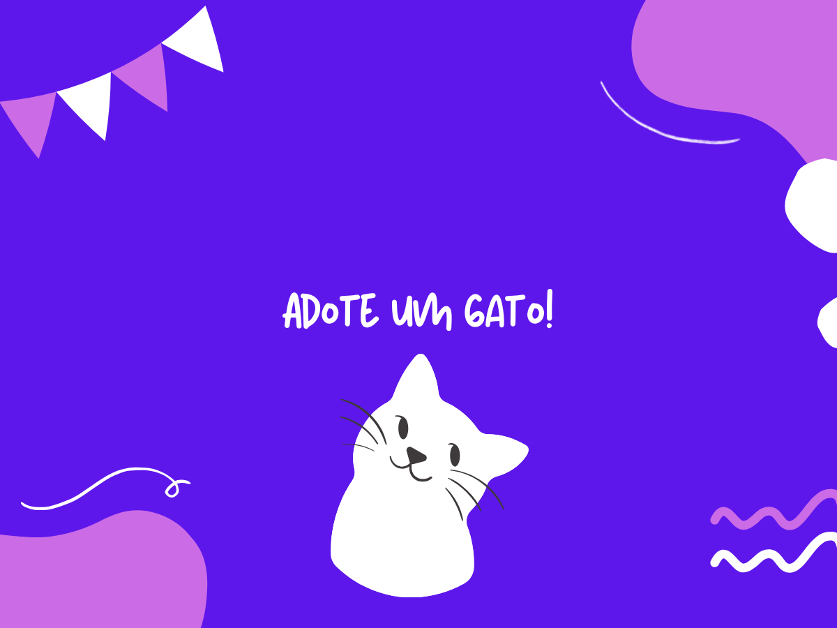 Adote um gato!