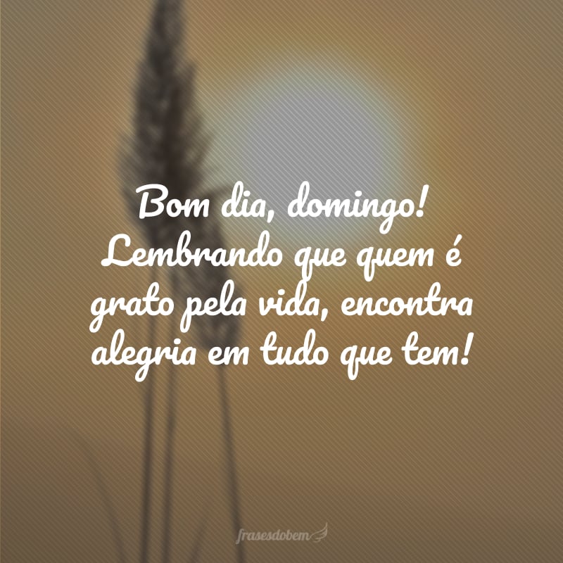 Bom dia, domingo! Lembrando que quem é grato pela vida, encontra alegria em tudo que tem! 