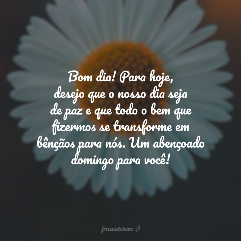 Bom dia! Para hoje, desejo que o nosso dia seja de paz e que todo o bem que fizermos se transforme em bênçãos para nós. Um abençoado domingo para você!