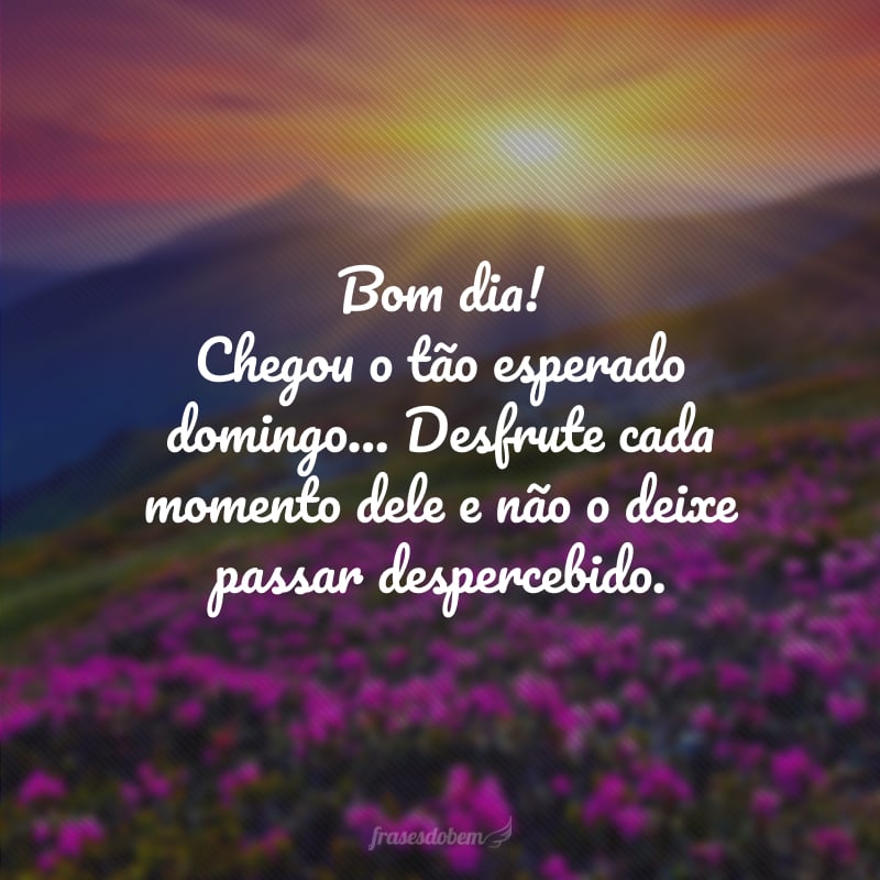 Bom dia! Chegou o tão esperado domingo... Desfrute cada momento dele e não o deixe passar despercebido.