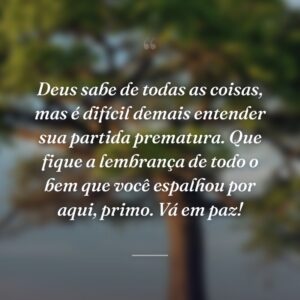 Deus sabe de todas as coisas, mas é difícil demais entender sua partida prematura. Que fique a lembrança de todo o bem que você espalhou por aqui, primo. Vá em paz!