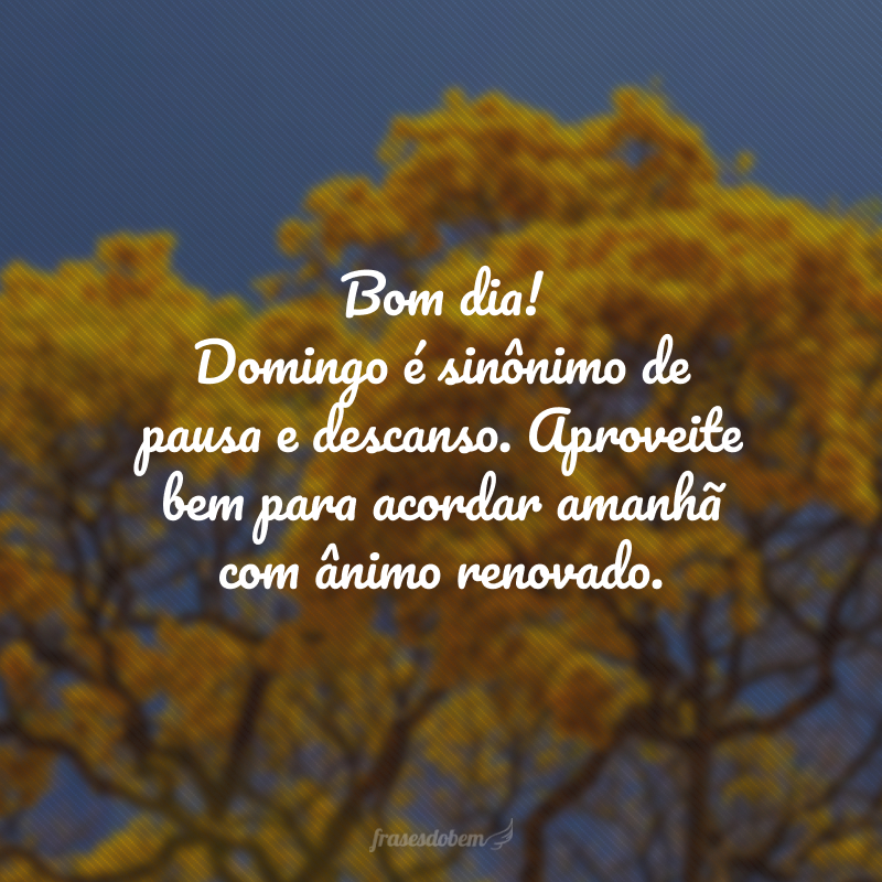 Bom dia! Domingo é sinônimo de pausa e descanso. Aproveite bem para acordar amanhã com ânimo renovado.