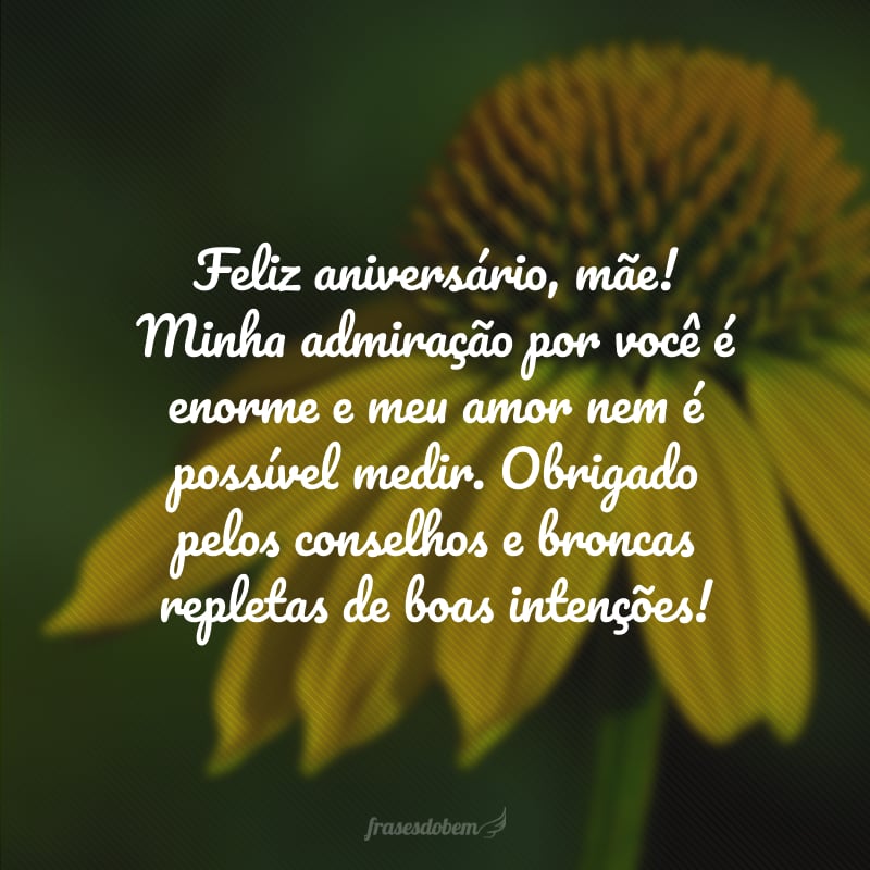 Feliz aniversário, mãe! Minha admiração por você é enorme e meu amor nem é possível medir. Obrigado pelos conselhos e broncas repletas de boas intenções!