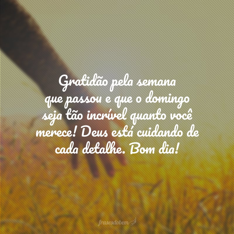 Gratidão pela semana que passou e que o domingo seja tão incrível quanto você merece! Deus está cuidando de cada detalhe. Bom dia!