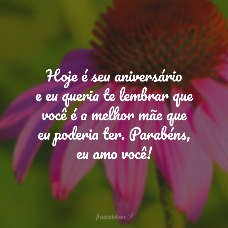 Hoje é seu aniversário e eu queria te lembrar que você é a melhor mãe que eu poderia ter. Parabéns, eu amo você!