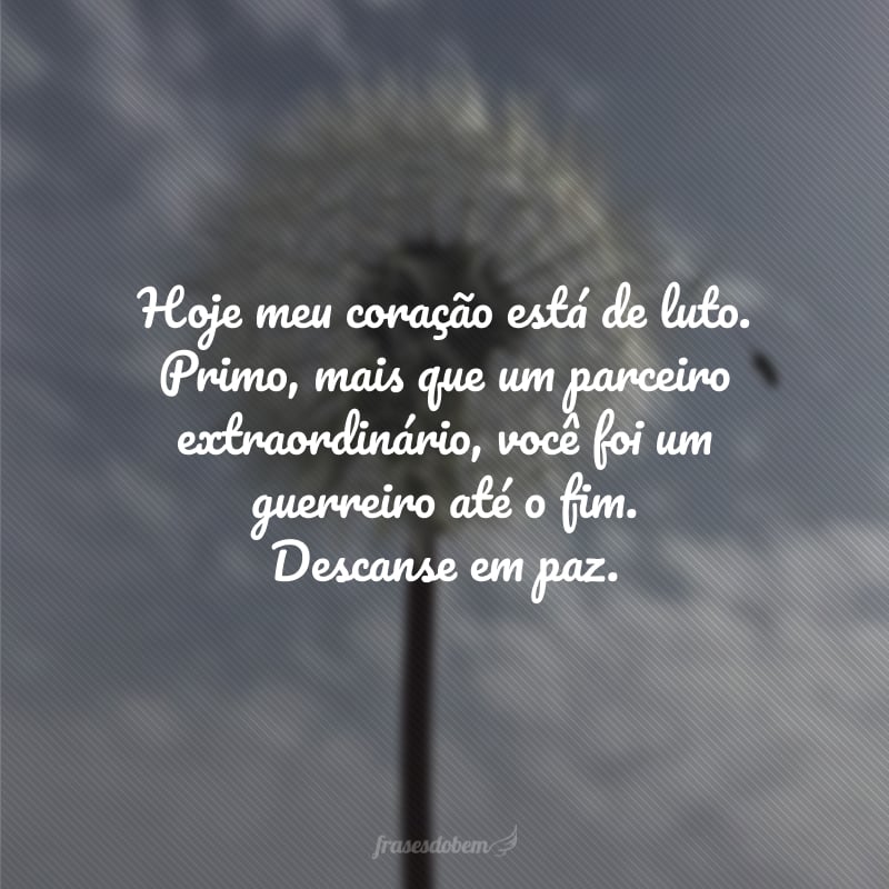 Hoje meu coração está de luto. Primo, mais que um parceiro extraordinário, você foi um guerreiro até o fim. Descanse em paz.