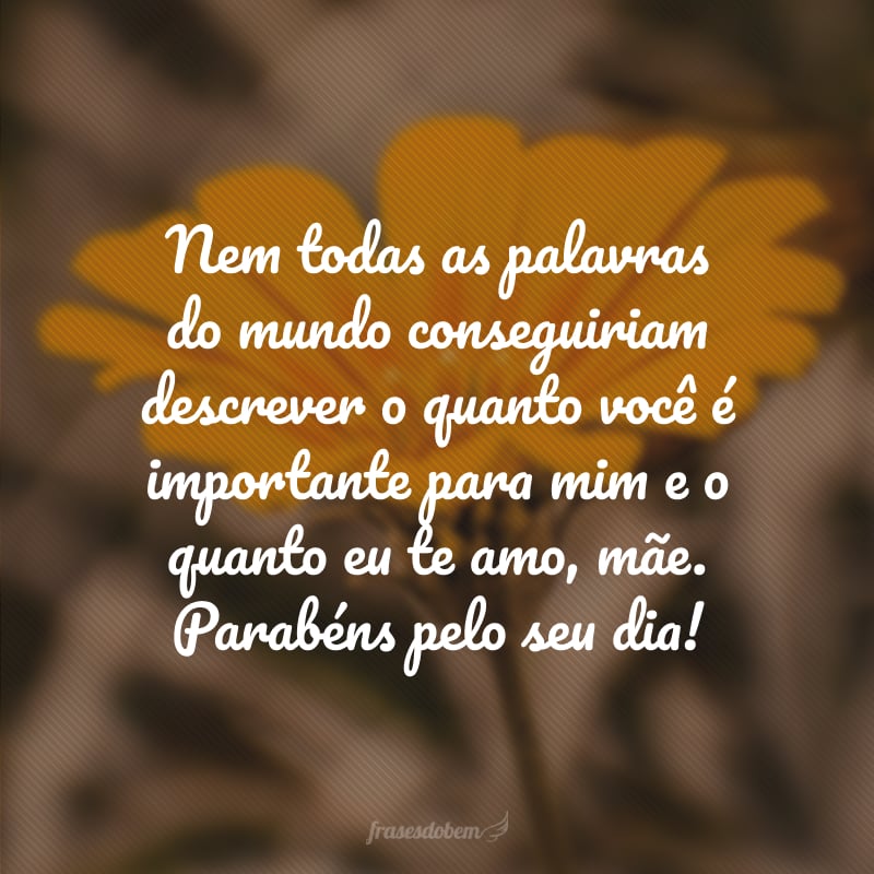 Nem todas as palavras do mundo conseguiriam descrever o quanto você é importante para mim e o quanto eu te amo, mãe. Parabéns pelo seu dia!